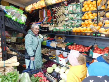 Jagodki-w-warzywniaku-10