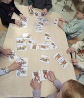 DZIEN-MISIA-MALINKI-8