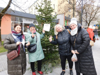 KONKURS-UBIERZMY-RAZEM-CHOINKE-2