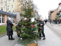 KONKURS-UBIERZMY-RAZEM-CHOINKE-9