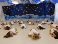 Gwiazdkowy-wystep-w-grupie-cytrynek-8