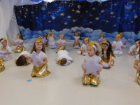 Gwiazdkowy-wystep-w-grupie-cytrynek-9