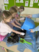 WIOSENNY-OGRODEK-NA-PARAPECIE-2