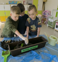 WIOSENNY-OGRODEK-NA-PARAPECIE-5