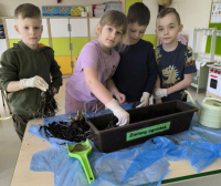 WIOSENNY-OGRODEK-NA-PARAPECIE-7