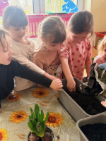 Wiosenny-ogrodek-w-gr-Cytrynki-10