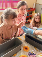 Wiosenny-ogrodek-w-gr-Cytrynki-6