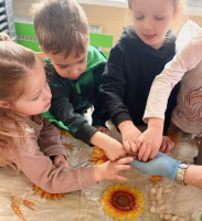 Wiosenny-ogrodek-w-gr-Cytrynki-7