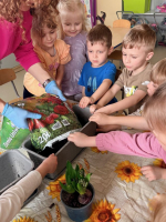 Wiosenny-ogrodek-w-gr-Cytrynki-8