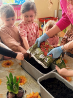 Wiosenny-ogrodek-w-gr-Cytrynki-9