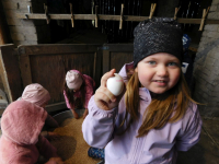 Jagodki-w-gospodarstwie-10