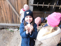 Jagodki-w-gospodarstwie-4