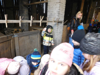 Jagodki-w-gospodarstwie-5