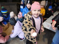 Jagodki-w-gospodarstwie-6