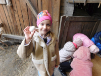 Jagodki-w-gospodarstwie-7