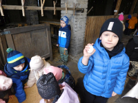 Jagodki-w-gospodarstwie-8