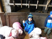 Jagodki-w-gospodarstwie-9