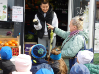 Jagodki-w-warzywniaku-8