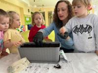 Wiosenne sadzenie roślin w przedszkolu i zajęcia edukacyjne: „W wiosennym ogrodzie”
