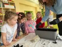 Wiosenne sadzenie roślin w przedszkolu i zajęcia edukacyjne: „W wiosennym ogrodzie”