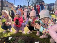 Grupa przedszkolaków pracuje wspólnie przy rabatce, sadząc wiosenne kwiatki.