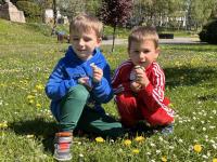 Zabawy w promieniach wiosny