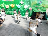 DSCN3480