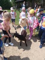 10 czerwca grupa Jabłuszek wybrała się na wycieczkę do ZOO w Lisowie.