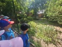 Dzieci z grupy Malinki podczas wycieczki do ZOO Leśne Zacisze – uśmiechnięte twarze, zwierzęta w tle i słoneczna pogoda