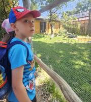 Dzieci z grupy Malinki podczas wycieczki do ZOO Leśne Zacisze – uśmiechnięte twarze, zwierzęta w tle i słoneczna pogoda