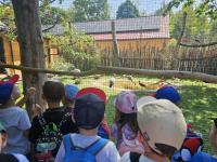 Dzieci z grupy Malinki podczas wycieczki do ZOO Leśne Zacisze – uśmiechnięte twarze, zwierzęta w tle i słoneczna pogoda