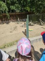 Dzieci z grupy Malinki podczas wycieczki do ZOO Leśne Zacisze – uśmiechnięte twarze, zwierzęta w tle i słoneczna pogoda