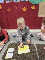 Dzień Drzewa w grupie  Dzień Drzewa w grupie