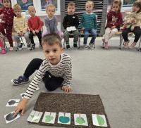 Dzień Drzewa w grupie  Dzień Drzewa w grupie