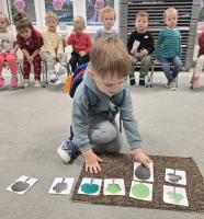 Dzień Drzewa w grupie  Dzień Drzewa w grupie