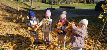 SPACER-W-GR-CYTRYNKI-9 SPACER-W-GR-CYTRYNKI-9