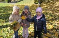 SPACER-W-GR-CYTRYNKI-8 SPACER-W-GR-CYTRYNKI-8